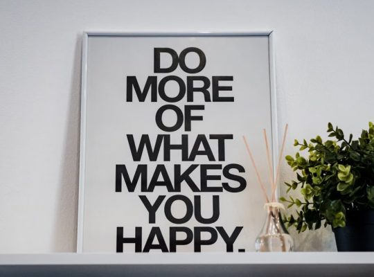 Framed quote 'Do More of What Makes You Happy' with plant and aroma diffuser.